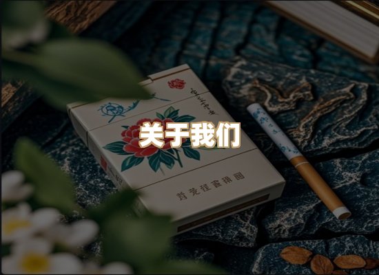 关于金鹤网